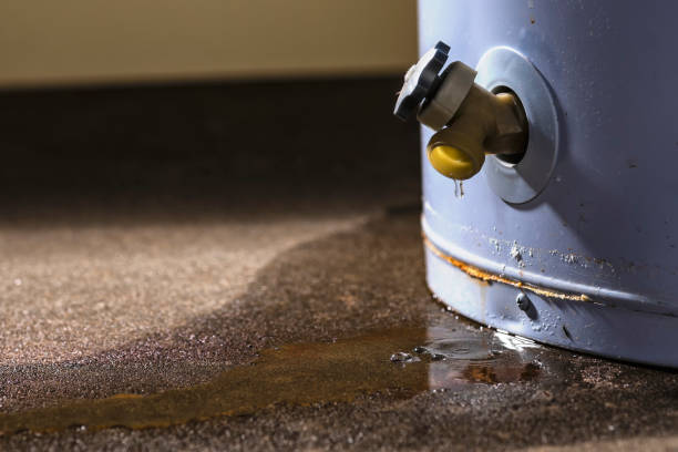 Best Sewage cleanup and water damage restoration  in Cannon Beach, OR