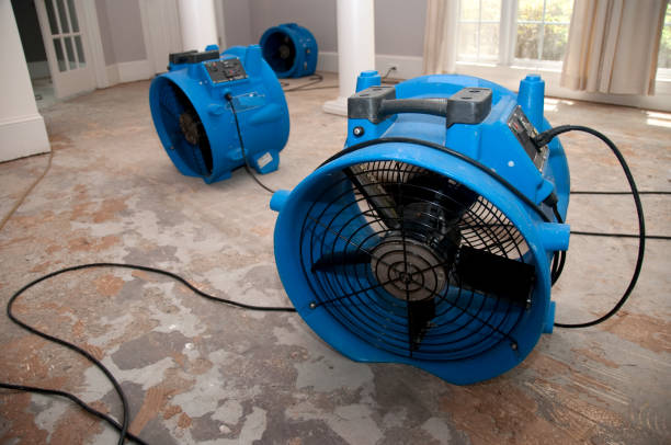 Best Fire Damage Restoration  in Cannon Beach, OR